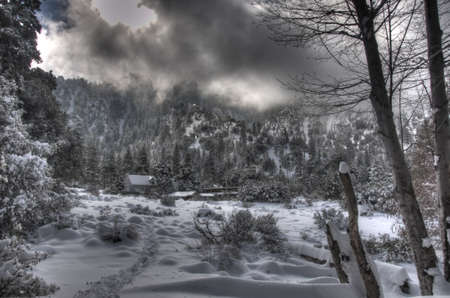 winter landscapeの写真素材