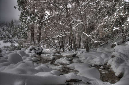 winter landscapeの写真素材