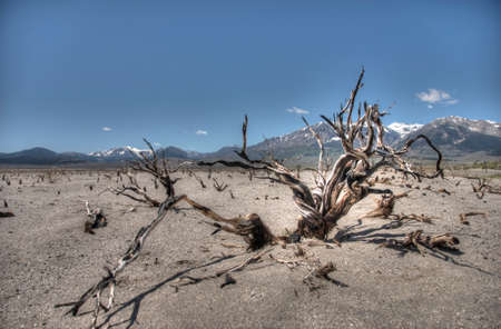 desert landscapeの写真素材