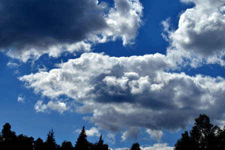 big clouds over the forestの写真素材
