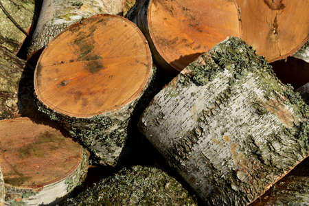 a pile of firewood for the stoveの写真素材