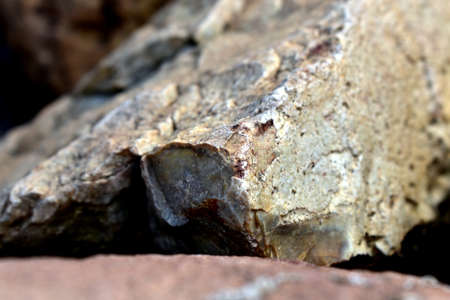 the surface of the stone in the sunの写真素材