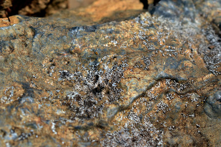 the surface of the stone in the sun