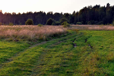 two country roads in a field at sunsetの写真素材
