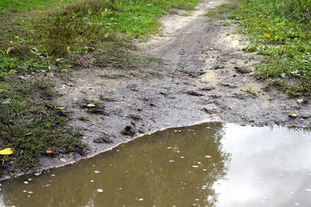puddle bank with car tire marksの写真素材