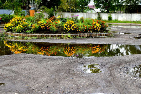 a large flower bed surrounded by puddles after rainの写真素材