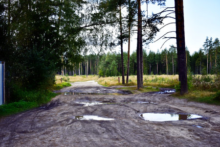dirt road with puddles after rain