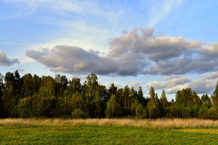 clouds over the forest in early autumn