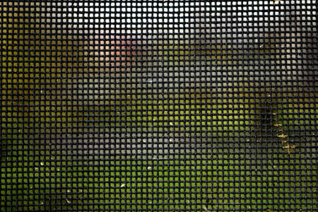 abrasive mesh on the background of the gardenの写真素材