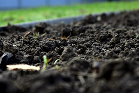 cultivated soil in the garden