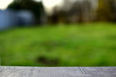wood planks on the background of the lawn
