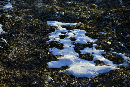 snow on frozen soil with shoe marksの写真素材