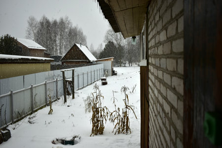 falling snow in the villageの写真素材