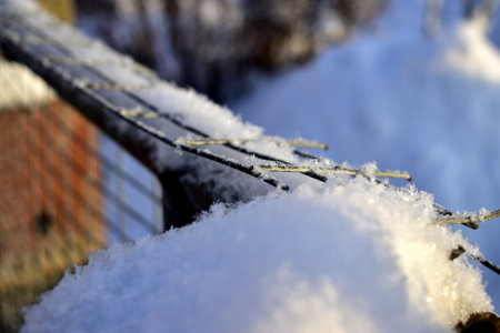 snowflakes on the fence wireの写真素材