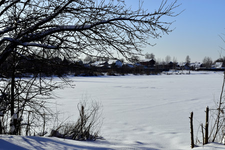 tree branches by a frozen, snow-covered pondの写真素材
