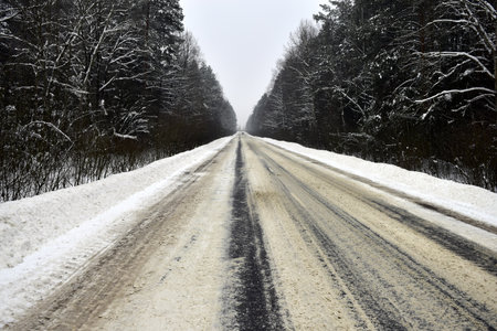 snowy road through the forestの写真素材