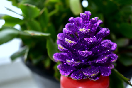dyed and glittering spruce coneの写真素材