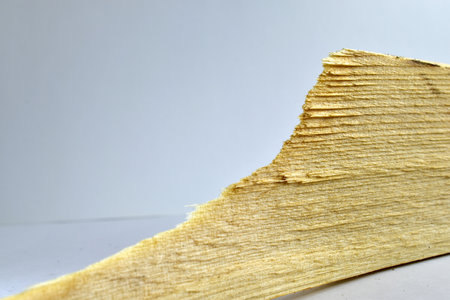 sharp edge of birch chipsの写真素材