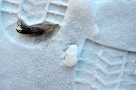 footprint in the snow from shoes, bird featherの写真素材