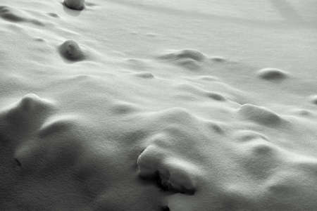 black and white photo of snowの写真素材