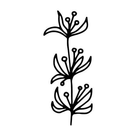 Flower hand drawing the line.Outline drawing black and white image.Doodle style.Floral and herbal.For bouquets, decorations.Vector illustrationのイラスト素材