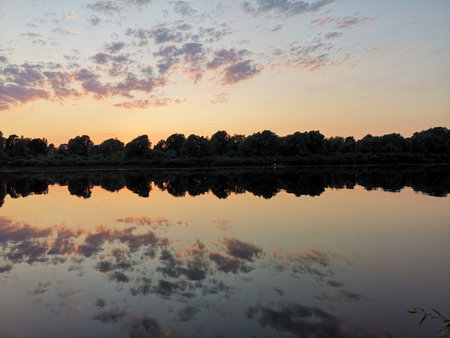 Lake with trees. Summer landscape by the river. Glassy surface of the water.