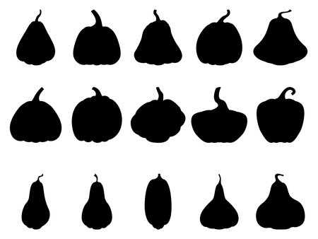 Pumpkin. Set of silhouettes of different pumpkins. Black silhouettes of pumpkins. isolated on white.のイラスト素材