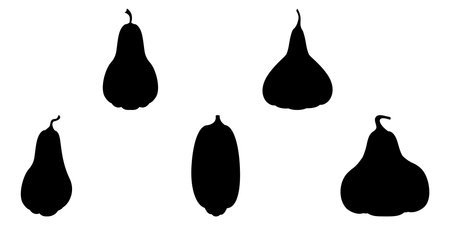 Pumpkin. Set of silhouettes of different pumpkins. Black silhouettes of pumpkins. isolated on white.のイラスト素材