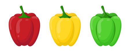 A set of sweet peppers. Red, yellow, green pepper.のイラスト素材