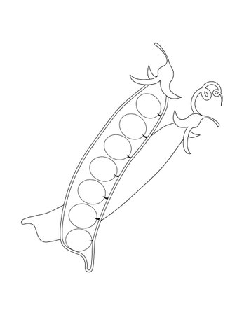Peas, black and white image by a line. Peas in a row. Adult and children coloring bookのイラスト素材