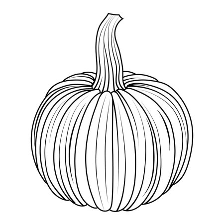 Contour drawing of a pumpkin. Coloring book.のイラスト素材