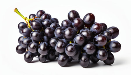 On a white background there are two bunches of dark blue grapes full of ripe berries. The bright color and juicy texture emphasize the freshness and naturalness of this delicious fruitの素材