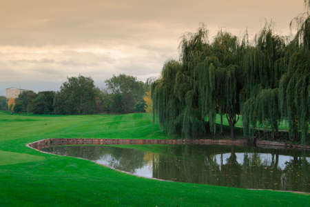Golf meadowの写真素材