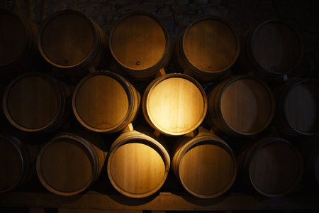 Wine barrels in a old wine cellar
