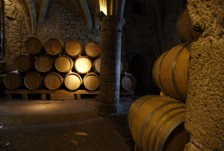 Wine barrels in a old wine cellar