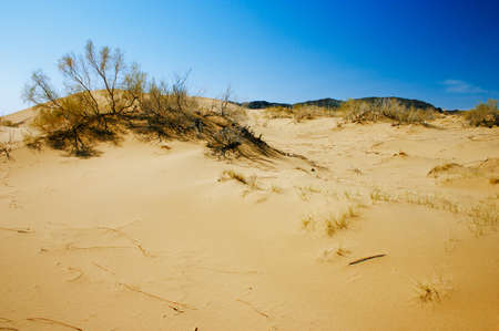 Sand dunes in desert national park Altyn-Emel, Kazakhstan. Blue sky around it makes it additionally dramaticの写真素材