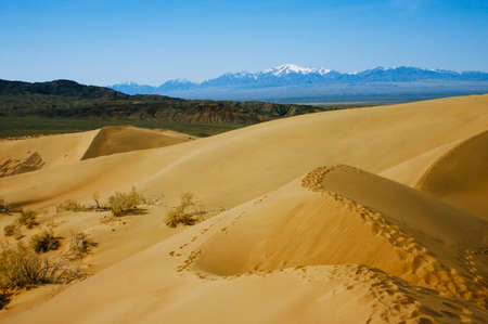 Sand dunes in desert national park Altyn-Emel, Kazakhstan. Blue sky around it makes it additionally dramaticの写真素材