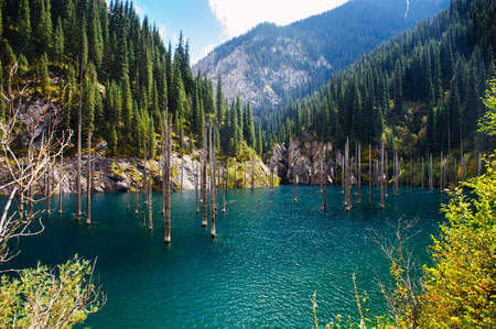 Kaindy Lake in Tien Shan mountain, Kazakhstan.の写真素材