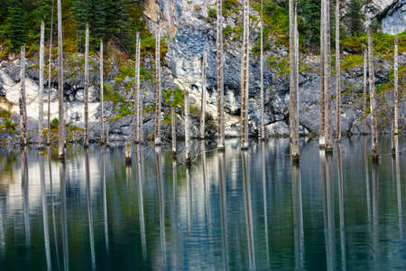 Kaindy Lake in Tien Shan mountain, Kazakhstan. Reflections on water.の写真素材