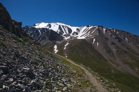 Green grassy mountain valley with ice peaks, Central Tien-Shan, Kazakhstan