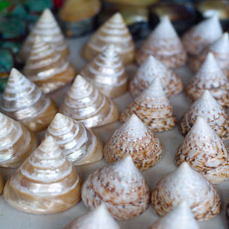 seashells for sale on a beach in Bali to attract tourists looking for a souvenir of their tropical summer vacationの写真素材