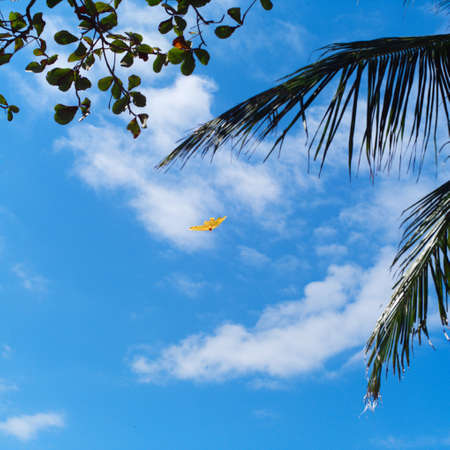 Island Bali, kite in the form of a birdの写真素材