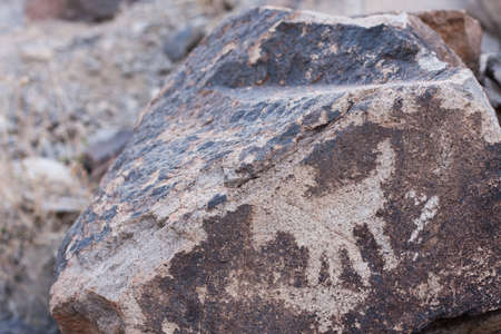 Ancient petroglyph depicting a bighorn sheep in Sloan Canyon near Las Vegas, Nevadaの写真素材