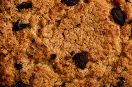 The cookie with a chocolate close up