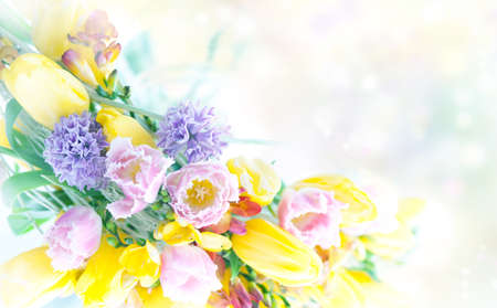 Beautiful spring flowers art frameの写真素材