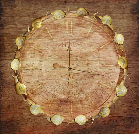 Slow Time  Retro Watch with Snails on Wood  Art Conceptの写真素材