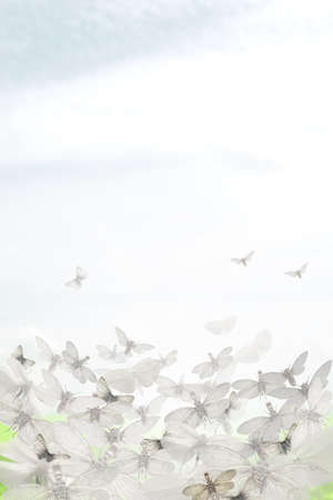 Fantasy. Night-flies in the Sky. Visual Artsの写真素材