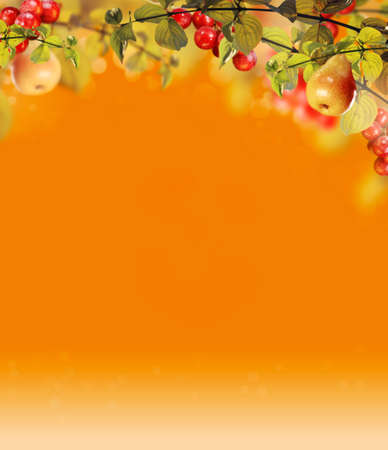 Abstract Colorful Classic Backgroundの写真素材