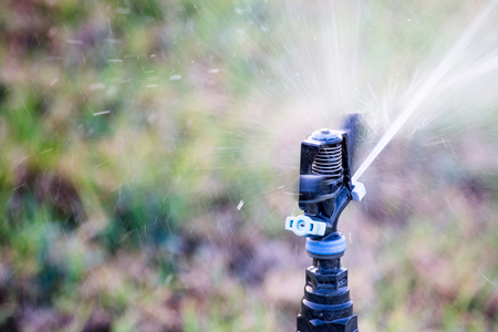Sprinkler watering grass, closeup, working process.の写真素材