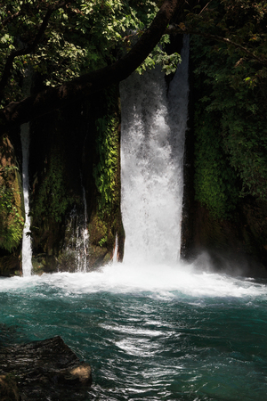 Banias waterfall, Hermon stream, Natural Reserv, Israel, Summer view.の写真素材